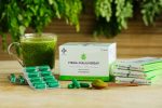 Mega-Malunggay Capsules (Moringa Oleifera) - Image 4